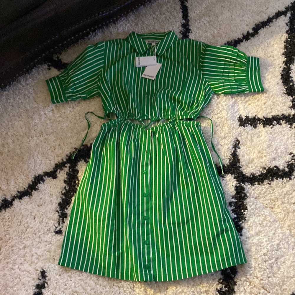 NWT Walter Baker green and white striped meera dress size Medium